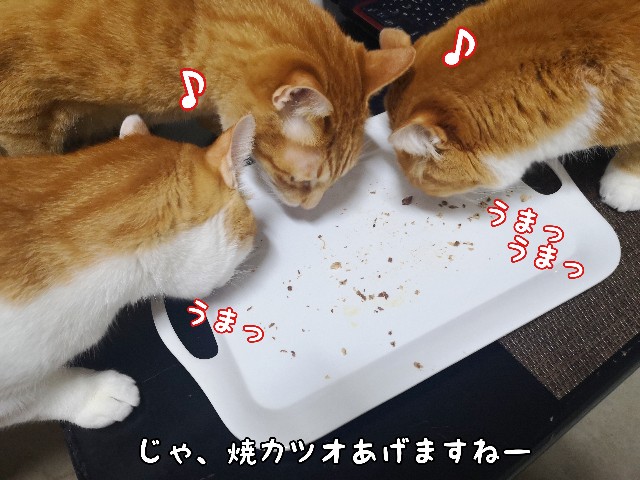 f:id:JuneNNN:20200609115744j:plain