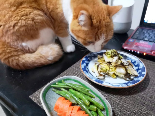 f:id:JuneNNN:20200614111356j:plain f:id:JuneNNN:20200614111356j:plain