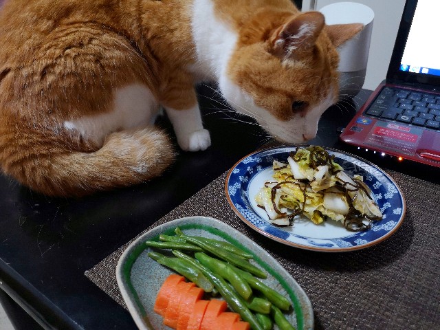 f:id:JuneNNN:20200614111405j:plain f:id:JuneNNN:20200614111405j:plain