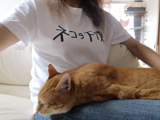 f:id:JuneNNN:20200618112005j:plain