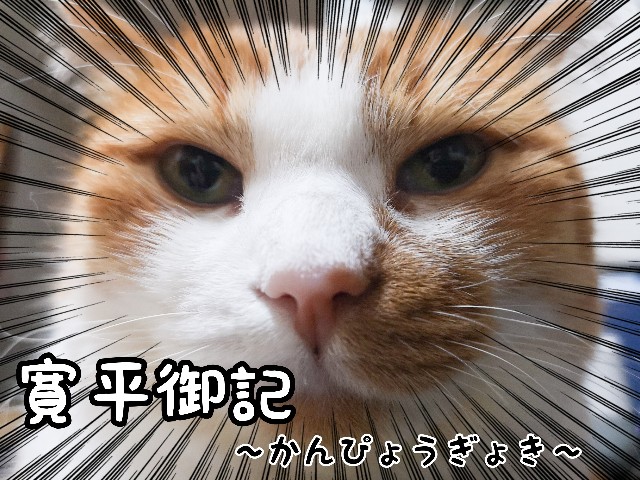 f:id:JuneNNN:20200625125612j:plain