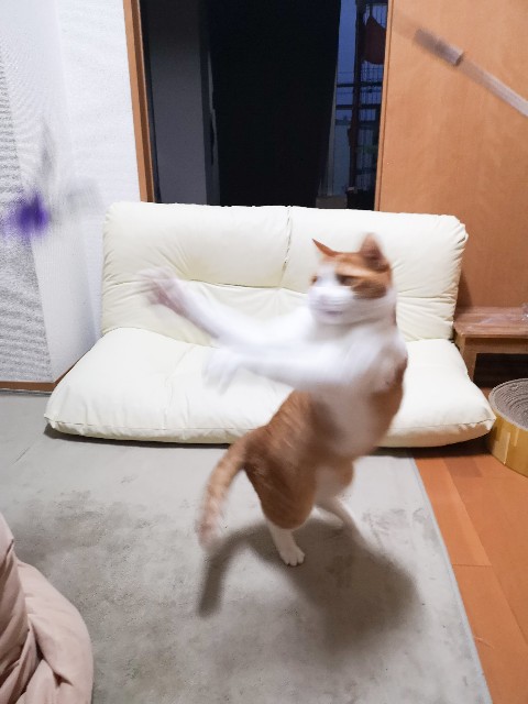 f:id:JuneNNN:20200626132057j:plain