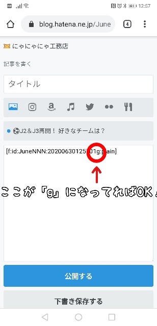 f:id:JuneNNN:20200630130138j:plain f:id:JuneNNN:20200630130138j:plain