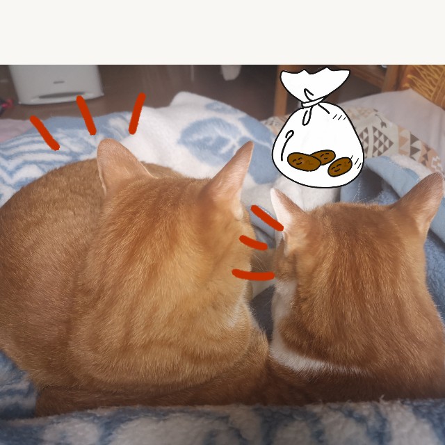 f:id:JuneNNN:20200703165910j:plain f:id:JuneNNN:20200703165910j:plain