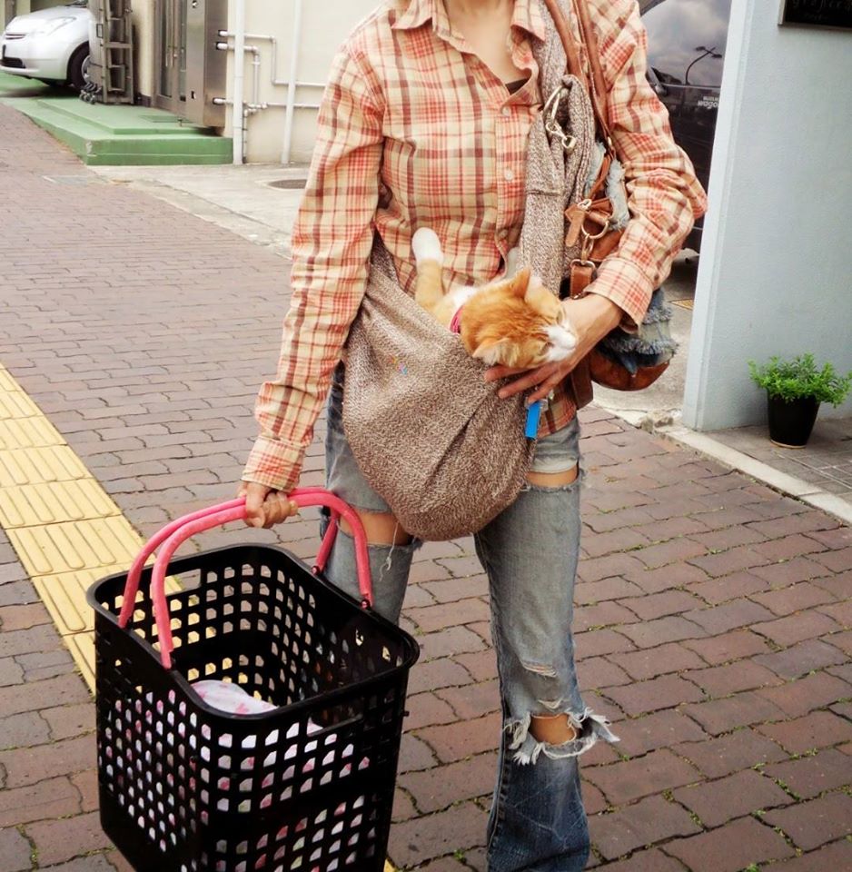 f:id:JuneNNN:20200705113854j:plain f:id:JuneNNN:20200705113854j:plain