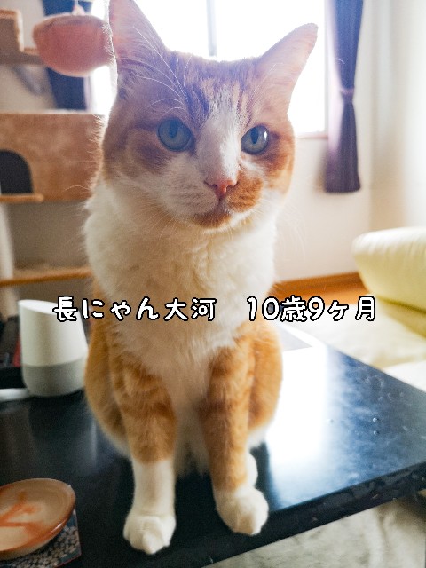 f:id:JuneNNN:20200705115510j:plain f:id:JuneNNN:20200705115510j:plain