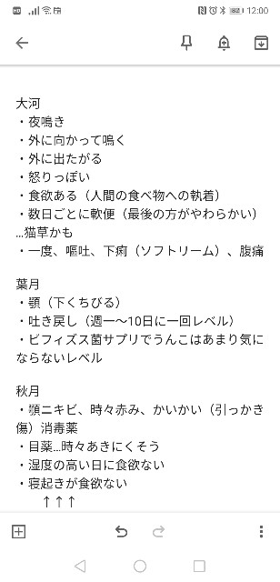 f:id:JuneNNN:20200705120121j:plain f:id:JuneNNN:20200705120121j:plain