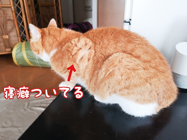 f:id:JuneNNN:20200705160925j:plain