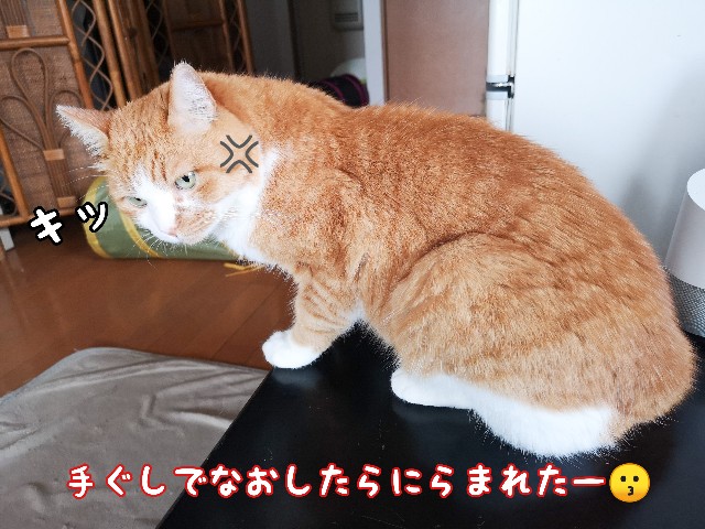 f:id:JuneNNN:20200705160934j:plain
