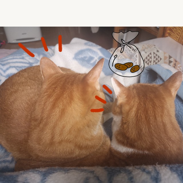 f:id:JuneNNN:20200705161000j:plain