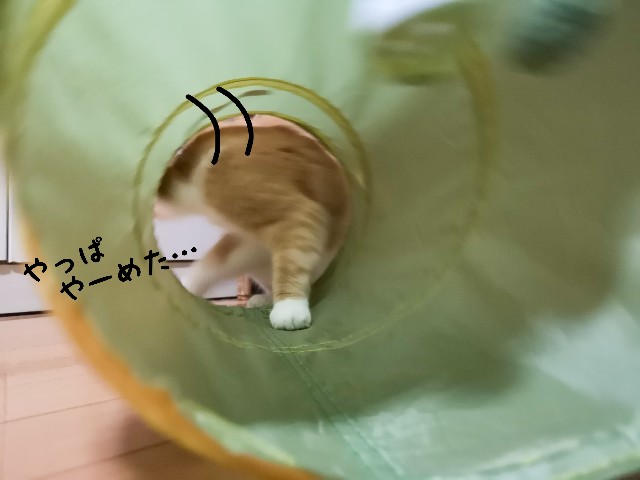 f:id:JuneNNN:20200711125144j:plain f:id:JuneNNN:20200711125144j:plain