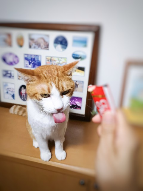 f:id:JuneNNN:20200804164633j:plain