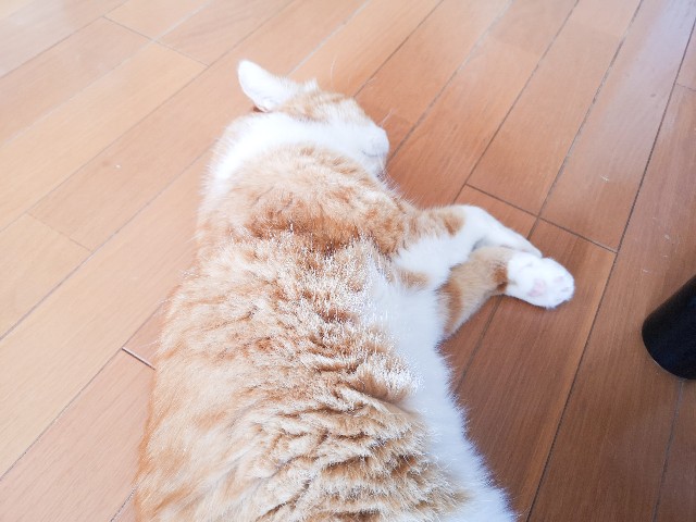 f:id:JuneNNN:20200811103214j:plain