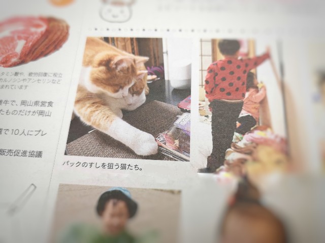 f:id:JuneNNN:20200905133336j:plain