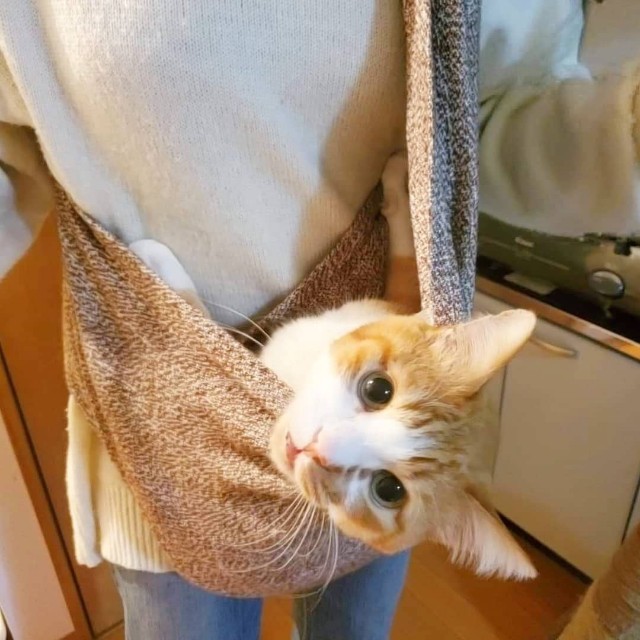 f:id:JuneNNN:20200906113949j:plain