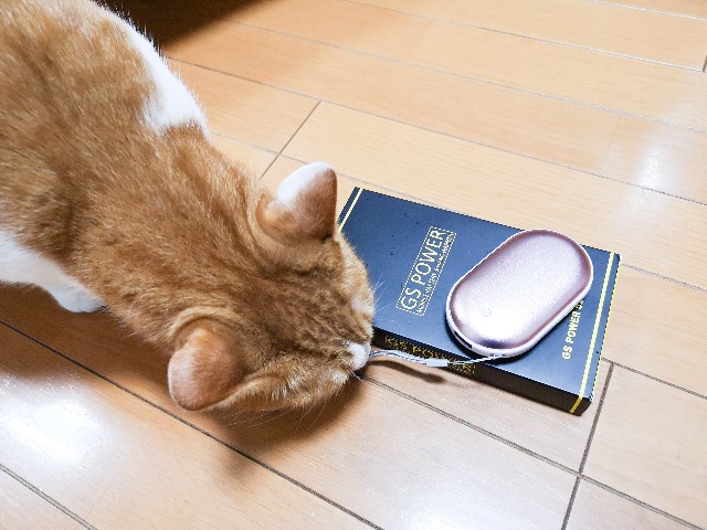 f:id:JuneNNN:20200906123952j:plain