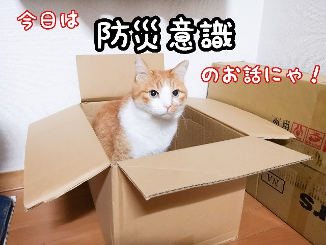 f:id:JuneNNN:20200906124924j:plain