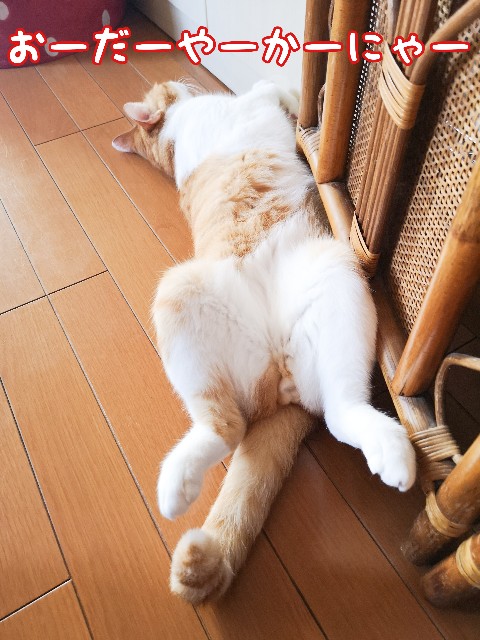 f:id:JuneNNN:20200906130910j:plain