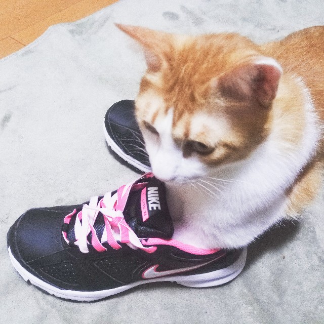 f:id:JuneNNN:20200906132647j:plain