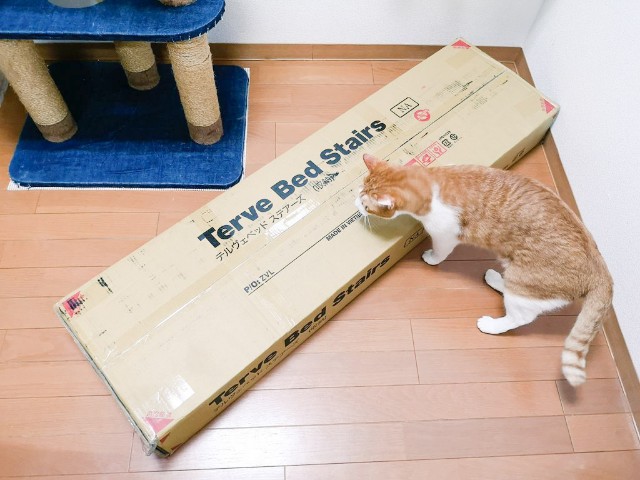 f:id:JuneNNN:20200907123853j:plain