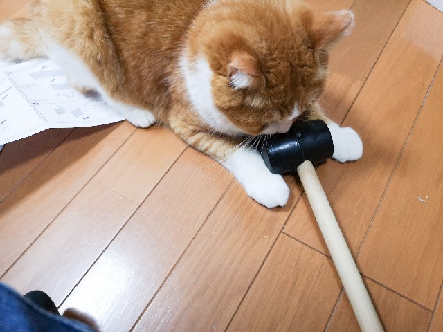 f:id:JuneNNN:20200907123931j:plain