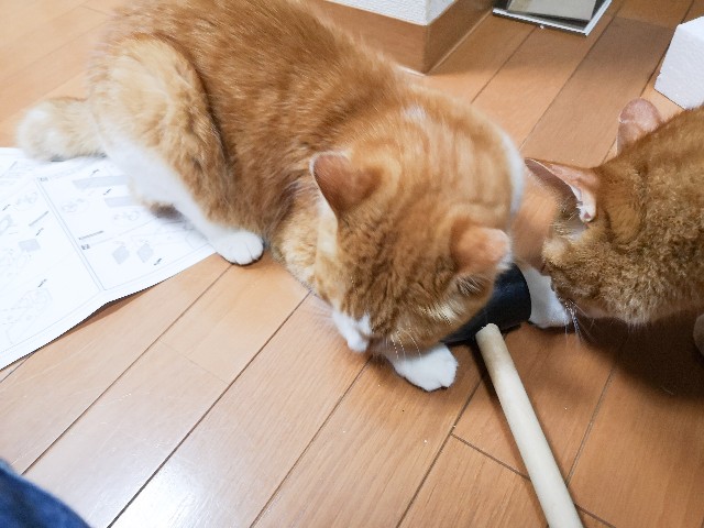 f:id:JuneNNN:20200907123947j:plain