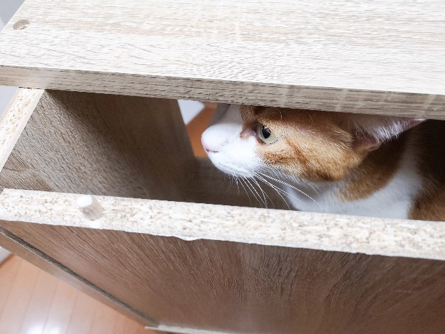 f:id:JuneNNN:20200907124154j:plain