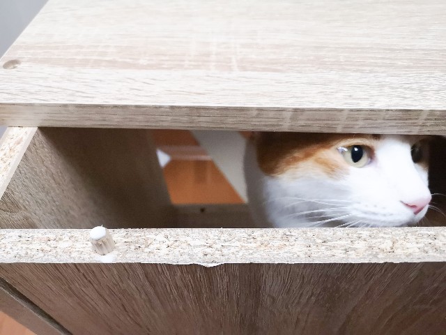 f:id:JuneNNN:20200907124201j:plain