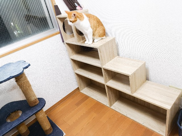 f:id:JuneNNN:20200907124210j:plain