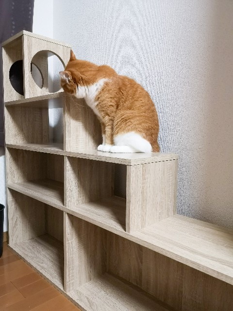 f:id:JuneNNN:20200907124216j:plain