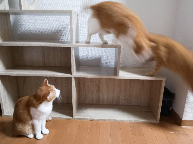 f:id:JuneNNN:20200907124308j:plain