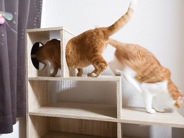 f:id:JuneNNN:20200907124319j:plain