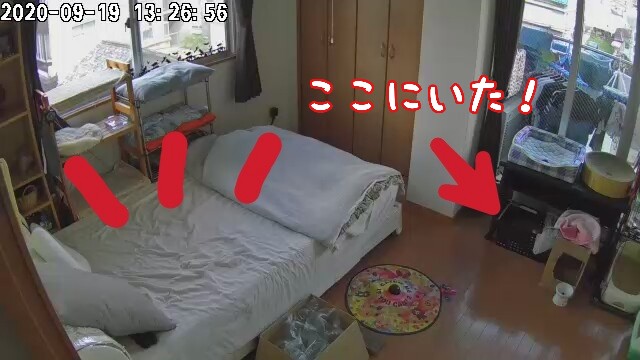 f:id:JuneNNN:20200920145009j:plain