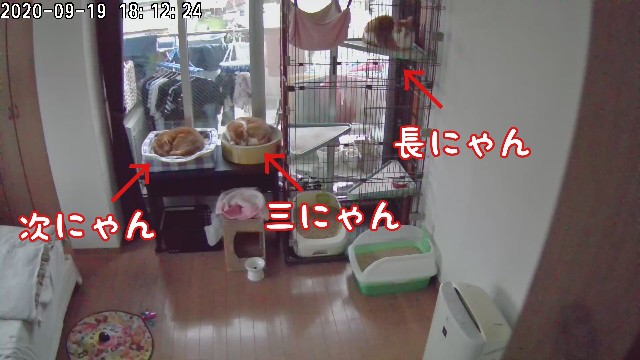 f:id:JuneNNN:20200920145018j:plain