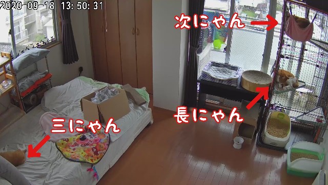 f:id:JuneNNN:20200920145116j:plain