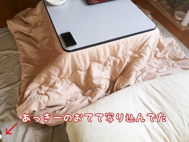 f:id:JuneNNN:20200928112531j:plain