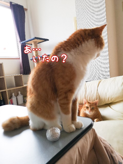 f:id:JuneNNN:20200930115520j:plain
