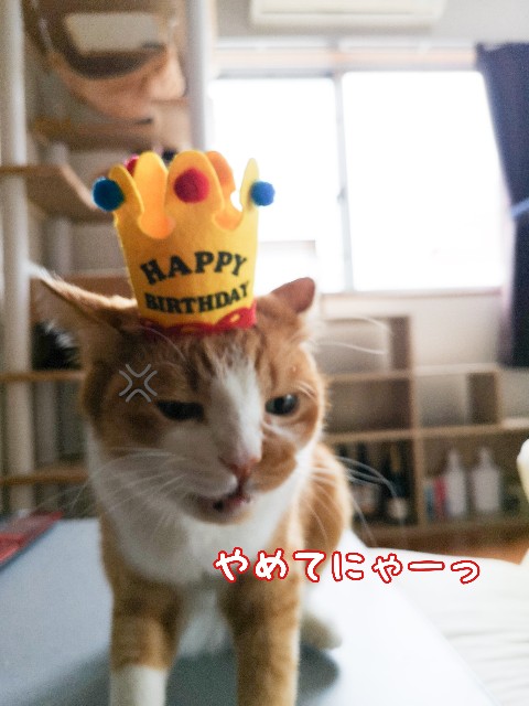 f:id:JuneNNN:20200930120122j:plain
