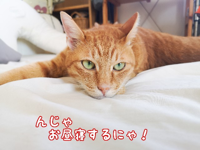 f:id:JuneNNN:20201003172246j:plain f:id:JuneNNN:20201003172246j:plain