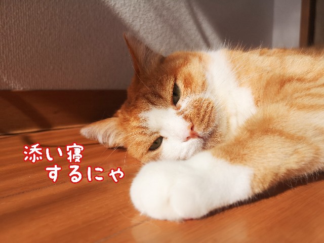 f:id:JuneNNN:20201003172315j:plain f:id:JuneNNN:20201003172315j:plain