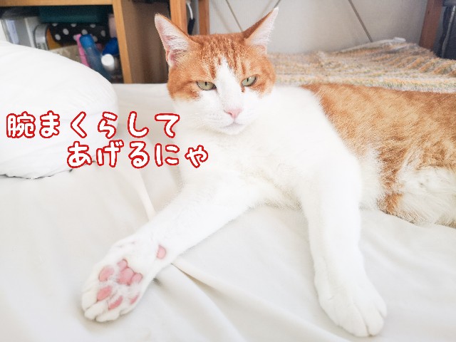 f:id:JuneNNN:20201003172339j:plain f:id:JuneNNN:20201003172339j:plain