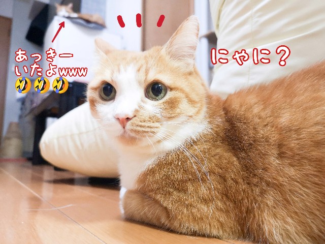 f:id:JuneNNN:20201007122321j:plain