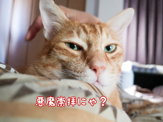 f:id:JuneNNN:20201015112133j:plain