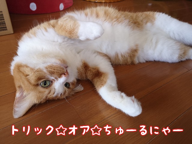 f:id:JuneNNN:20201015112141j:plain