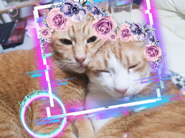 f:id:JuneNNN:20201016123140j:plain