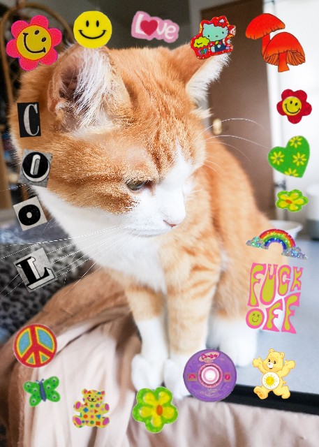 f:id:JuneNNN:20201016123203j:plain f:id:JuneNNN:20201016123203j:plain