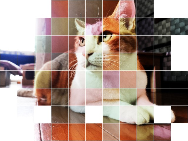 f:id:JuneNNN:20201016130548j:plain