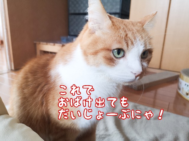 f:id:JuneNNN:20201017120152j:plain