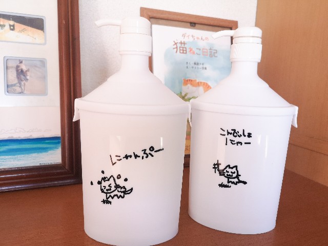 f:id:JuneNNN:20201021143913j:plain