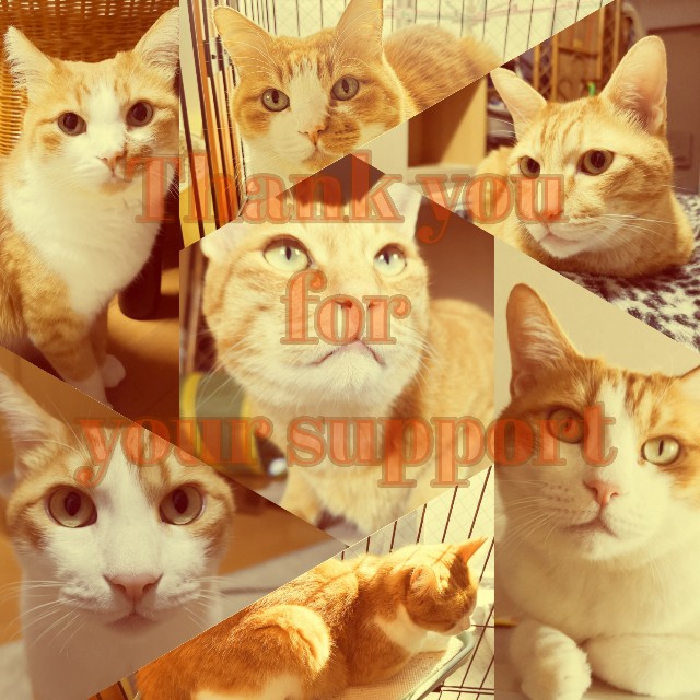 f:id:JuneNNN:20201023140442j:plain